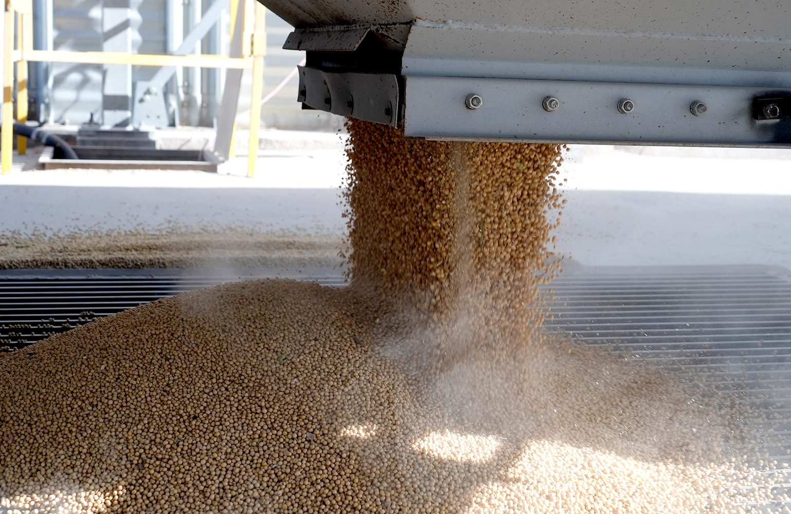 AVX Update Wheat Growth