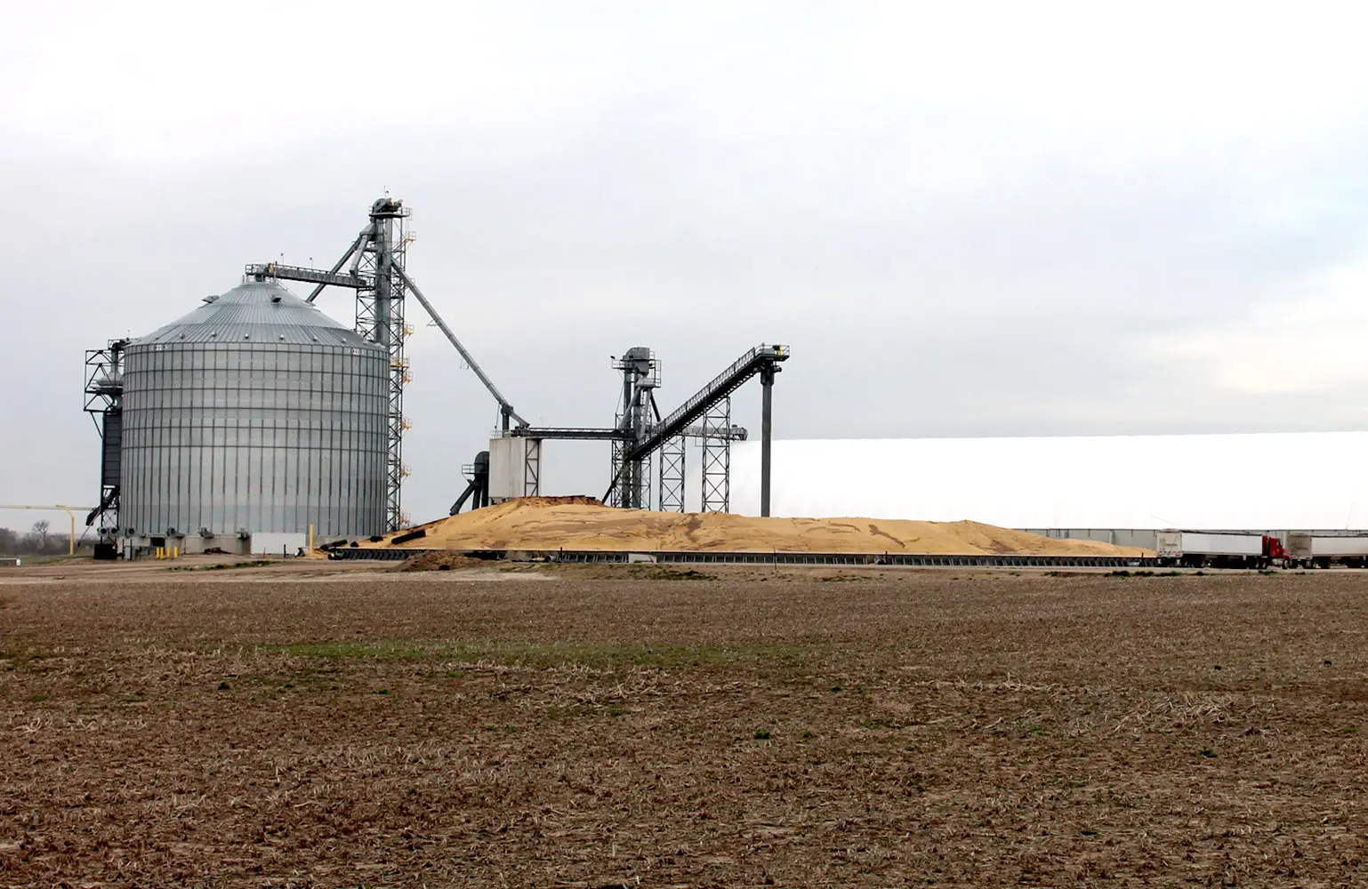 Grain Market Update